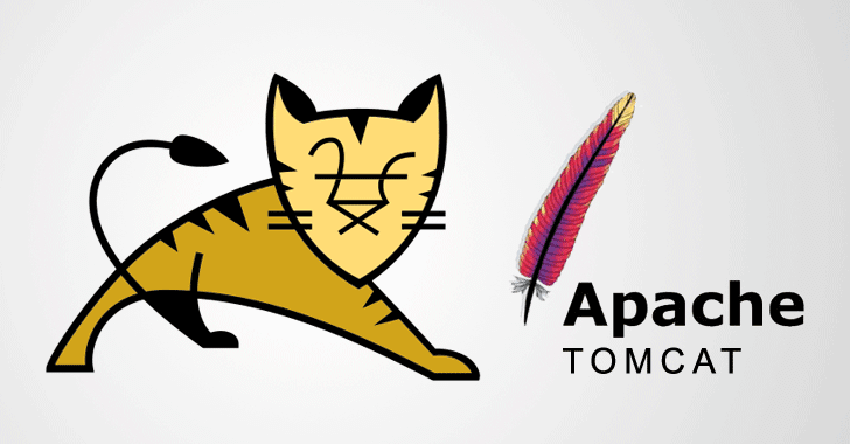 Tomcat Apache Hosting Nedir-