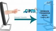 Domain Transfer Nasıl Yapılır