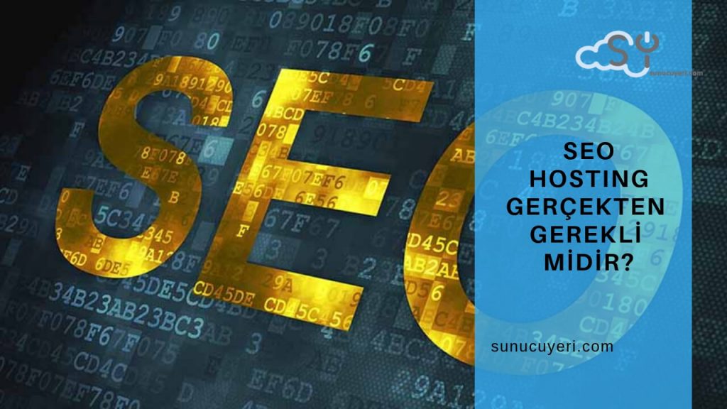 Seo Hosting Gercekten Gereklimidir